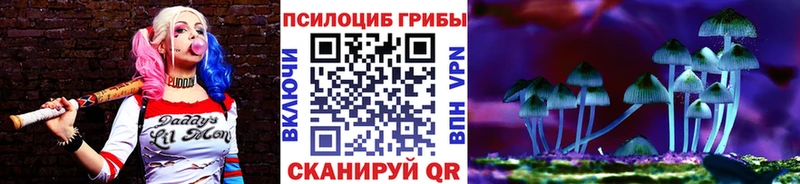 Галлюциногенные грибы Psilocybine cubensis  Ликино-Дулёво 
